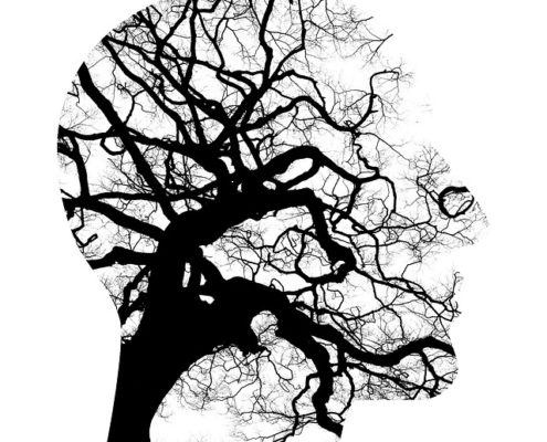 mental-health-2313430_640