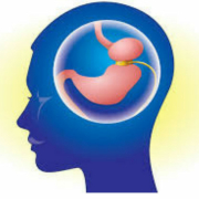 anneau gastrique virtuel, hypnose, image, cerveau, restriction