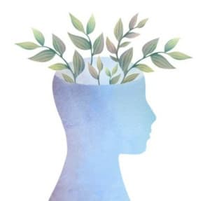 Profil ombre bleue avec plante qui sort du cerveau hypnose santé mentale